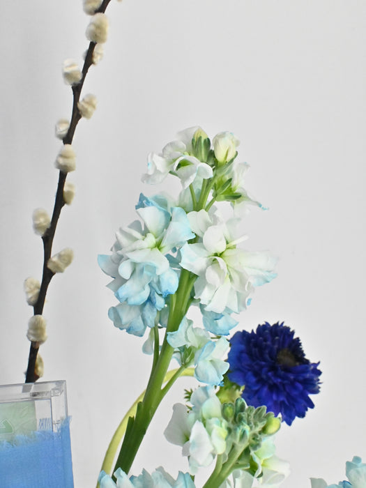 Azure Whisper Money Bloom
