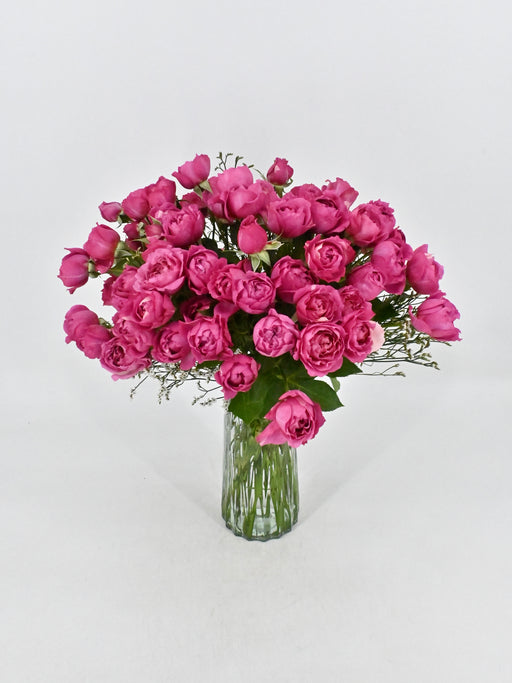 Cerise