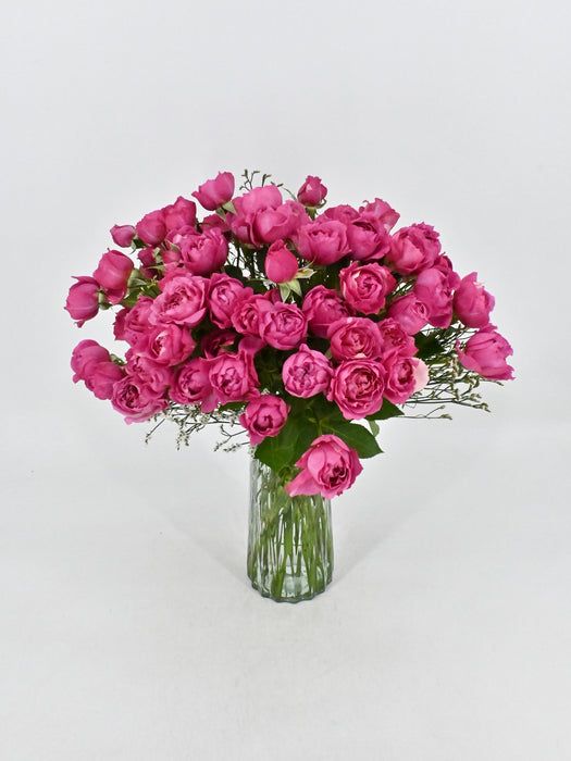 Cerise