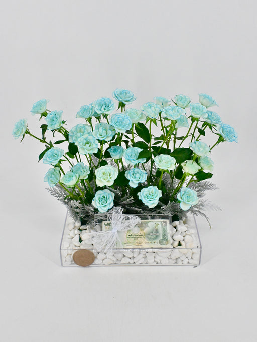 Ice Blue Baby