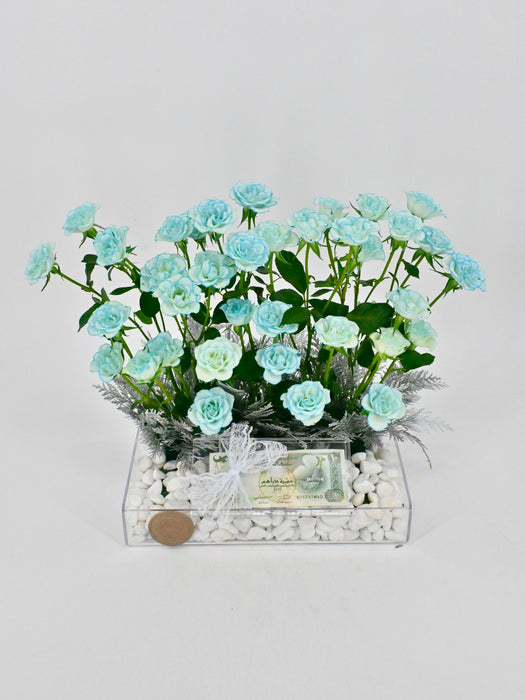 Ice Blue Baby