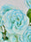 Ice Blue Baby