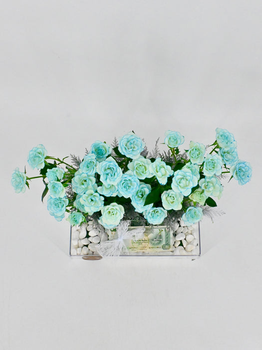 Ice Blue Baby
