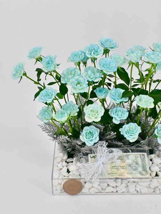 Ice Blue Baby