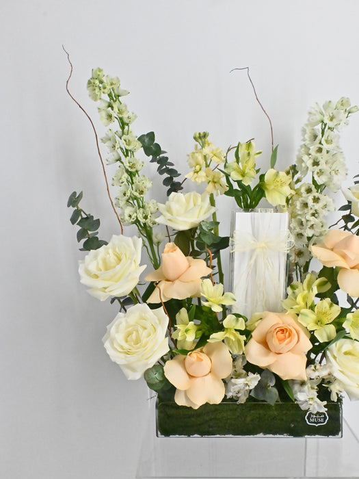 Snow Villa Money Garden