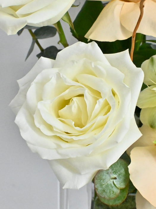 Snow Villa Money Garden