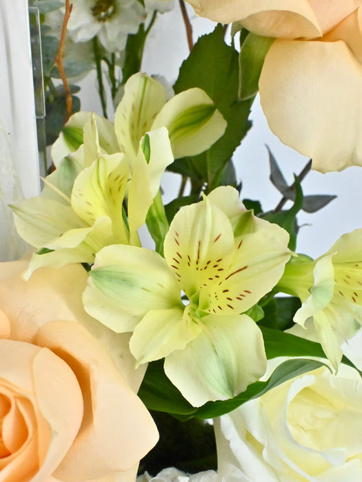 Snow Villa Money Garden