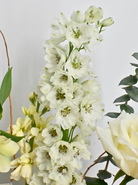 Snow Villa Money Garden