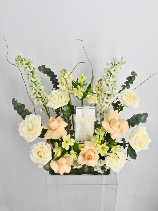 Snow Villa Money Garden