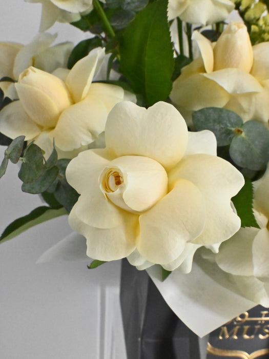 Sunlit Elegance