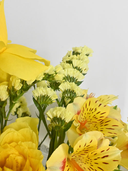 Sunlit Elegance