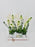 Orni Garden Money Arrangement