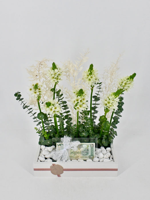 Orni Garden Money Arrangement