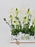 Orni Garden Money Arrangement