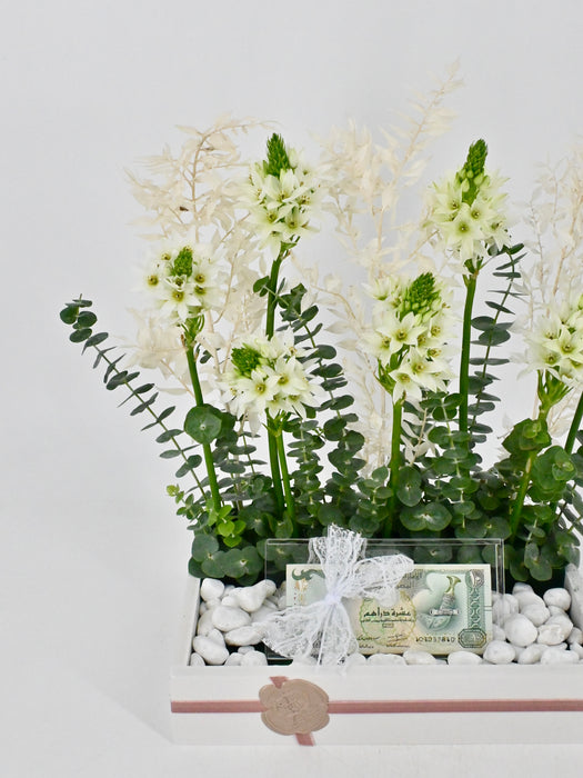 Orni Garden Money Arrangement
