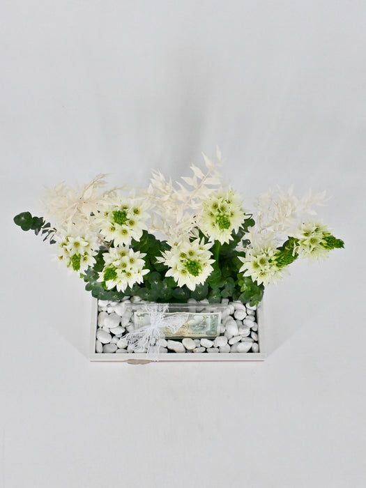 Orni Garden Money Arrangement