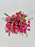 Mix Spray Garden
