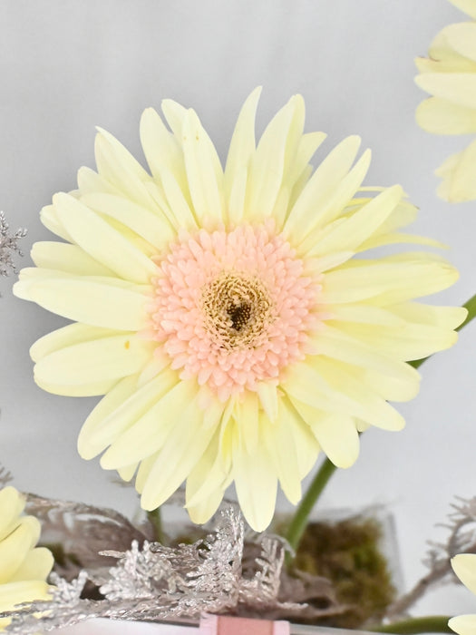 Soft Pastel Money Garden