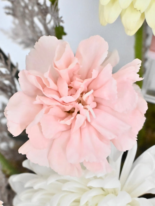 Soft Pastel Money Garden