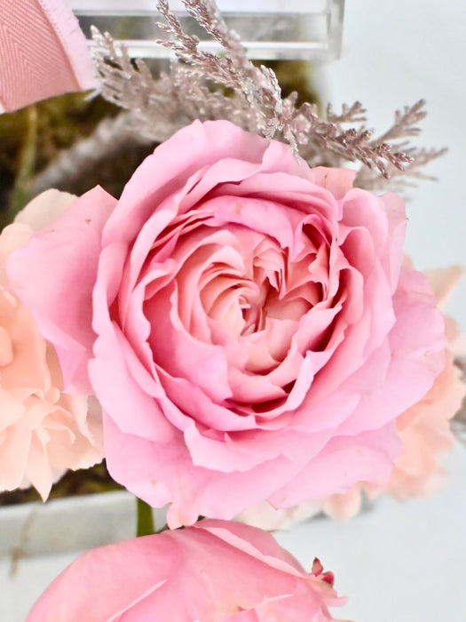 Soft Pastel Money Garden