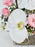 HBD Garden Arrangement