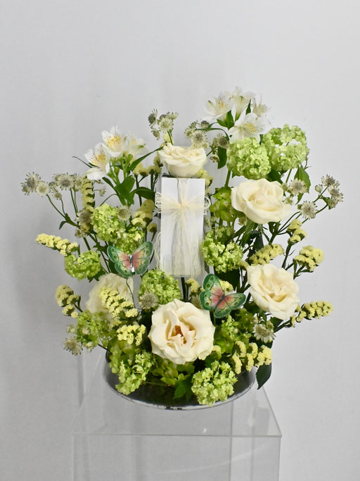 Roseum Greeny Garden