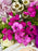 Iron Rose Garden