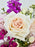 Iron Rose Garden