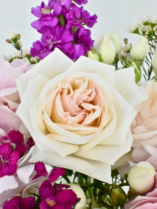 Iron Rose Garden