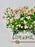 Sweet Flow Money Arrangement