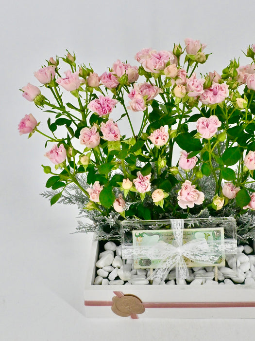 Sweet Flow Money Arrangement