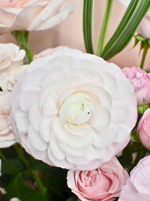 Pink Bombastic Cloni Bouquet