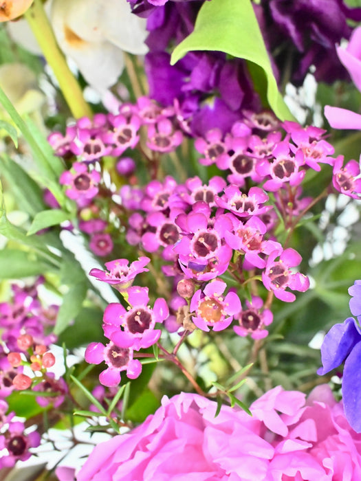 Luxe Garden