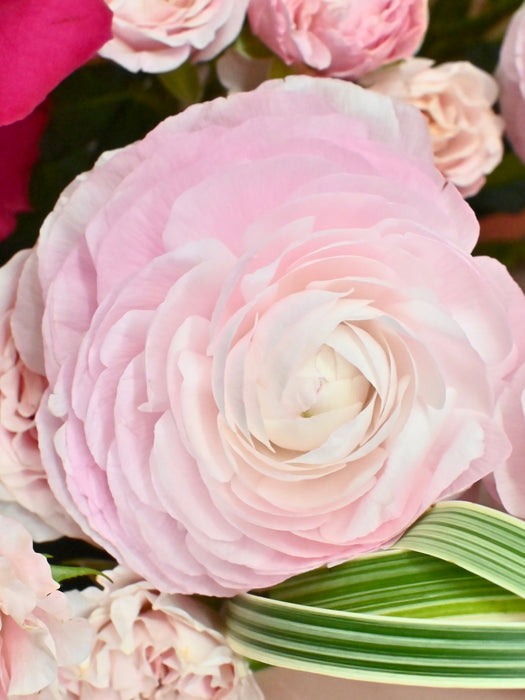 Pink Bombastic Cloni Bouquet