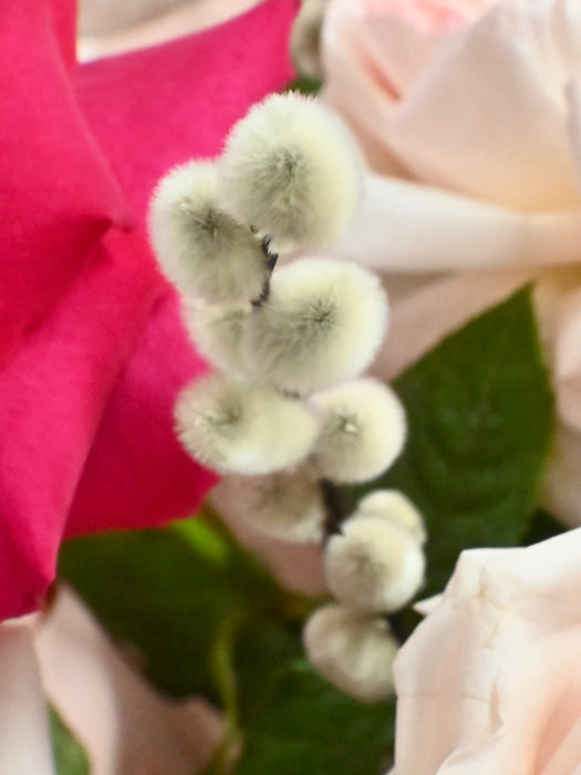 Pink Bombastic Cloni Bouquet