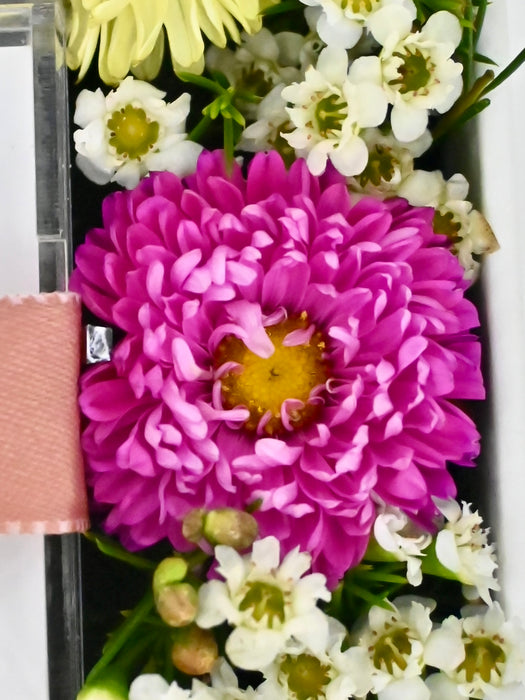 Cute Money Garden
