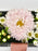 Cute Money Garden