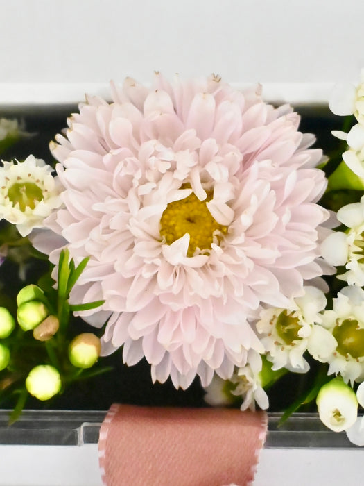 Cute Money Garden