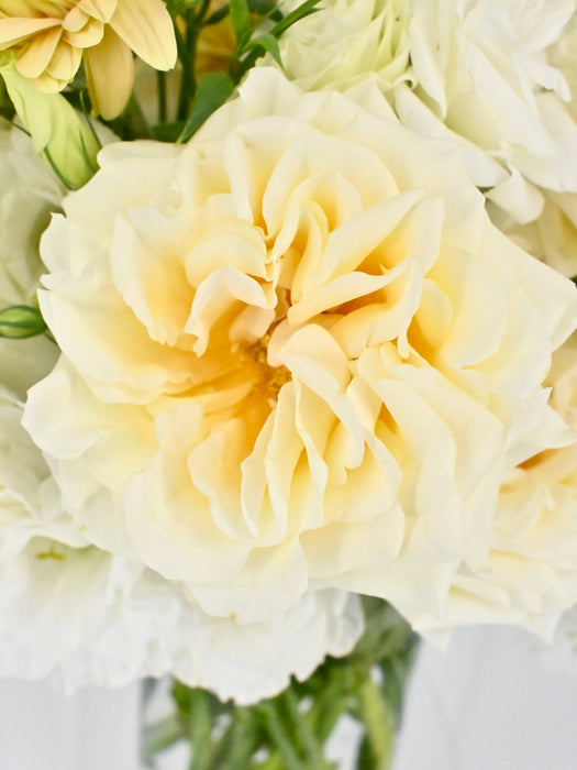 Serenity Floral Vase Arrangement