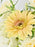 Serenity Floral Vase Arrangement