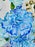 Blue Money Arrangement