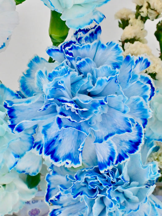 Blue Money Arrangement