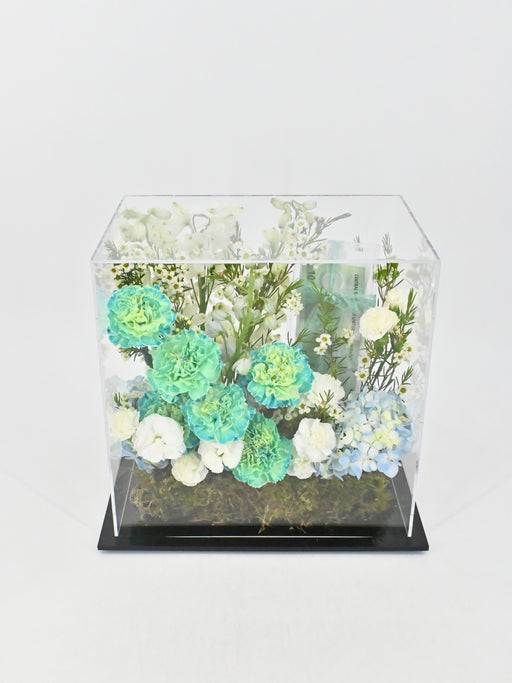 Verbena Money Box Garden