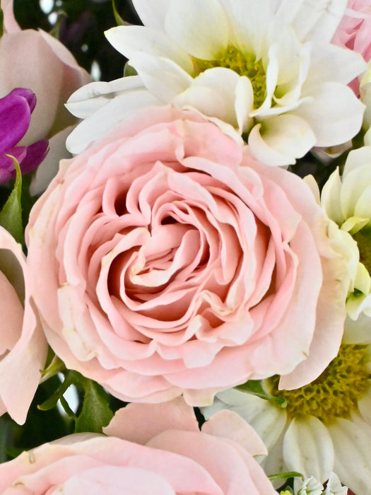 Soft Pinks