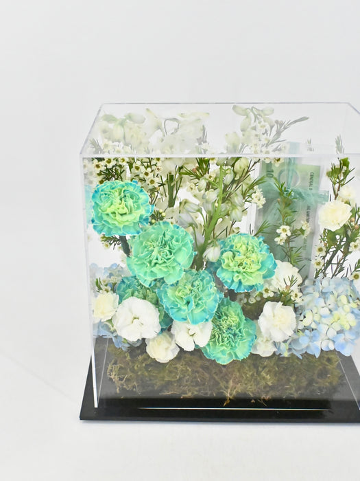 Verbena Money Box Garden