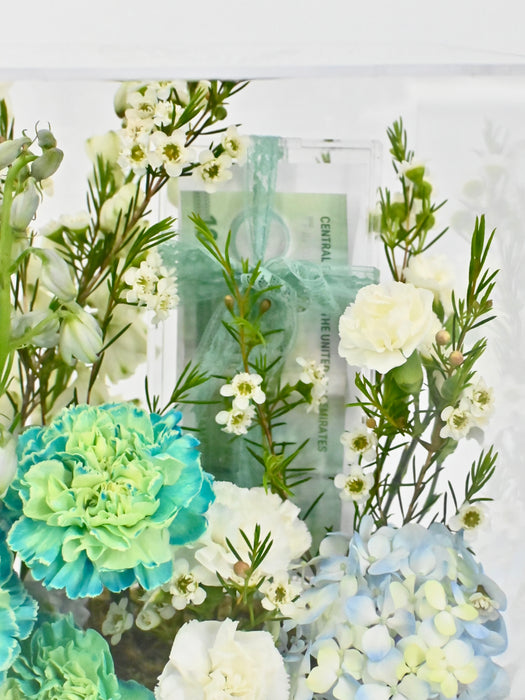 Verbena Money Box Garden