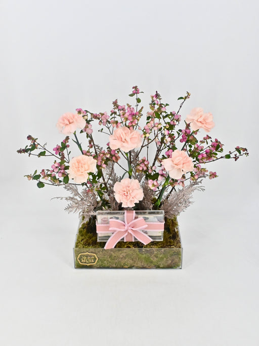 Novia Berry Money Garden