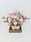 Novia Berry Money Garden