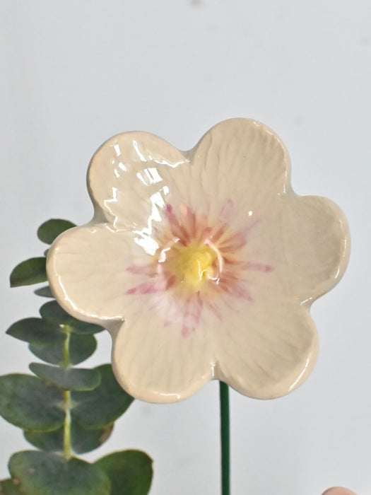 Germini Cute Money Gift