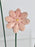 Germini Cute Money Gift
